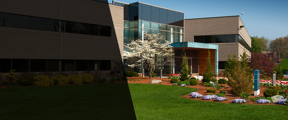 Belleview Landscapers