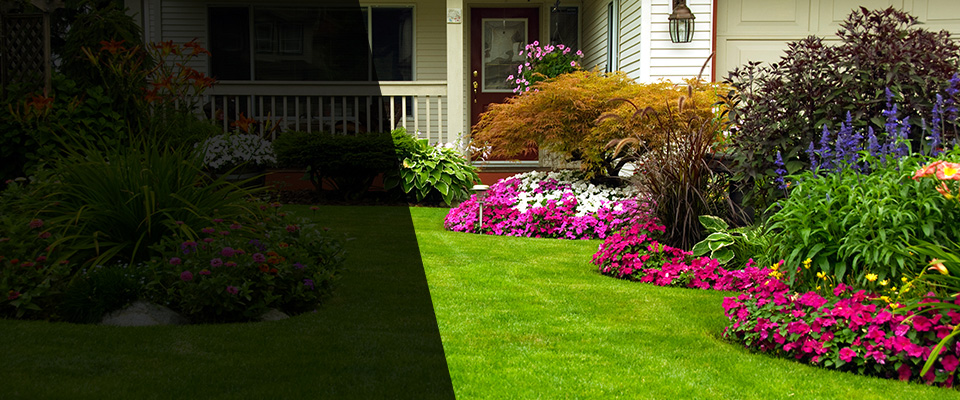 Belleview Landscapers