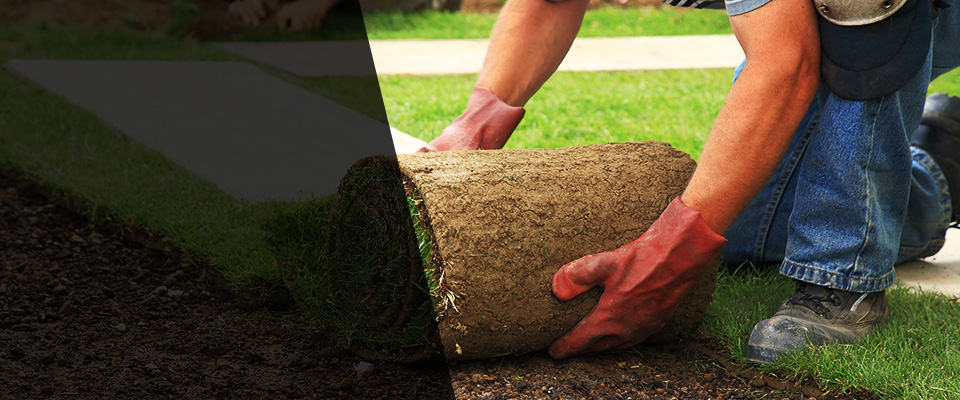 Belleview Landscapers